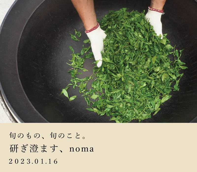 研ぎ澄ます、noma